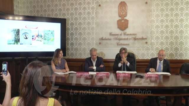 Evotasting 2025: un bando per portare in tavola l’olio calabrese di qualità