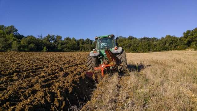 Arcea Calabria, oltre 10 milioni di euro a sostegno di agricoltura e vitivinicoltura