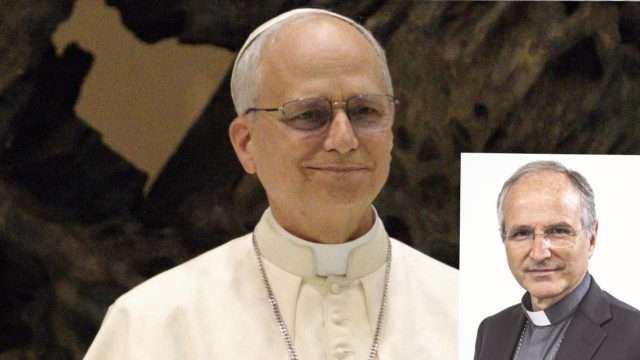 Un anno di Papa Leone XIV, il messaggio della Chiesa calabrese