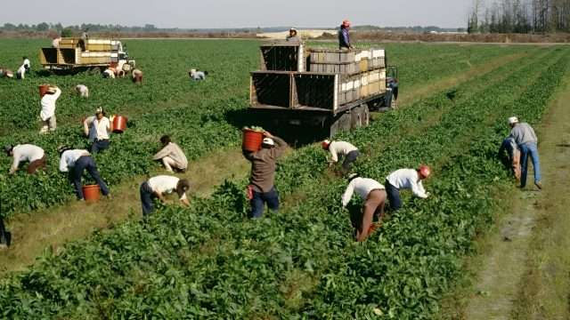 Agricoltura, CIA Calabria in stato di agitazione permanente
