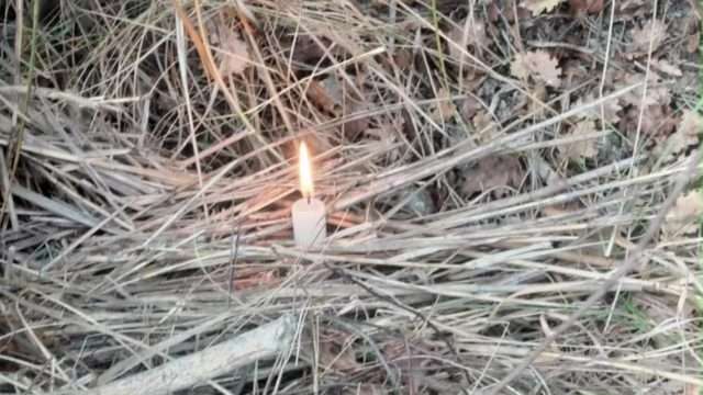 Incendi in Calabria, Costarella (ProCiv): “Diminuiti del 43,9%”