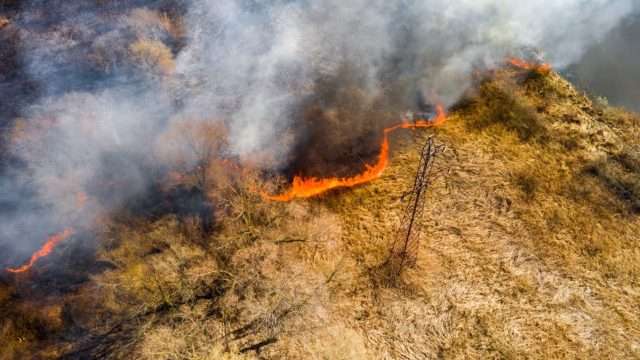 Emergenza incendi, Legambiente Calabria: “Servono prevenzione e controlli”