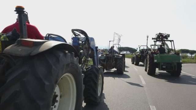 Prosegue la protesta degli agricoltori: nel Cosentino sversati litri di latte in strada